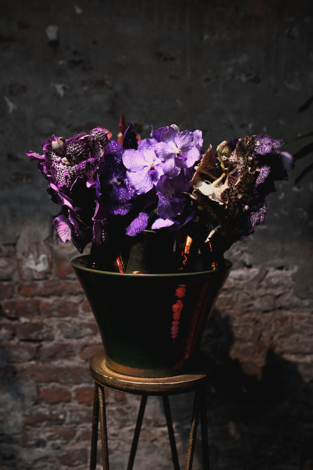 20210527RZ-Kaardebol-9-scaled