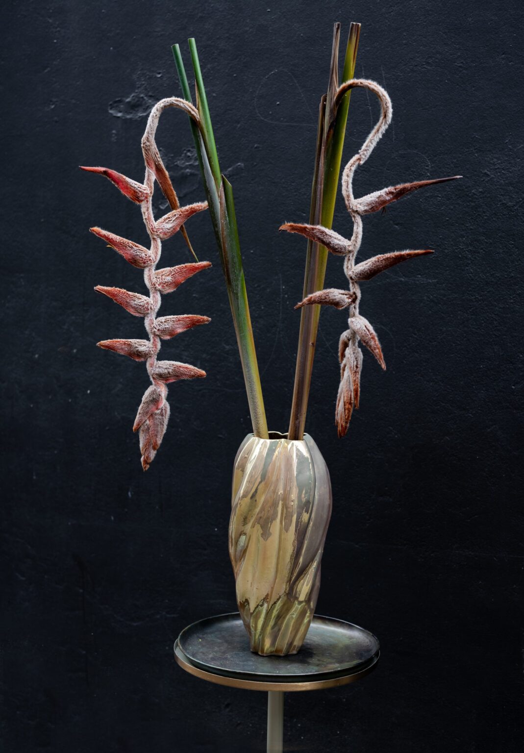 20220503RZ-Kaardebol-12-scaled