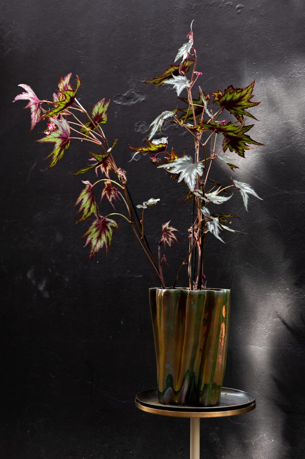 20220503RZ-Kaardebol-27-scaled