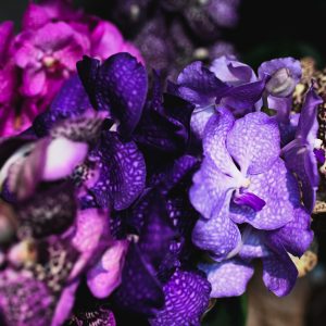 20210527RZ-Kaardebol-11-scaled