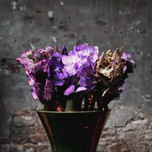 20210527RZ-Kaardebol-12-scaled