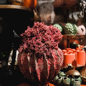 20210527RZ-Kaardebol-55-scaled