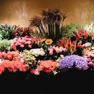 20210527RZ-Kaardebol-56-scaled