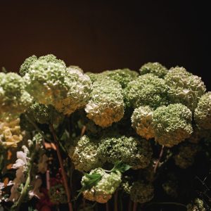 20210527RZ-Kaardebol-69-scaled