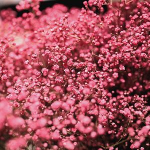 20210527RZ-Kaardebol-75-1-scaled